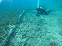 7,000-Year-Old Submerged Road discovered under the Mediterranean Sea.