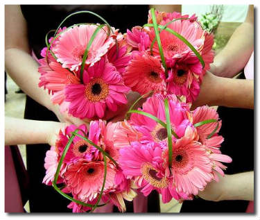 Gerbera Daises Wedding Flowers