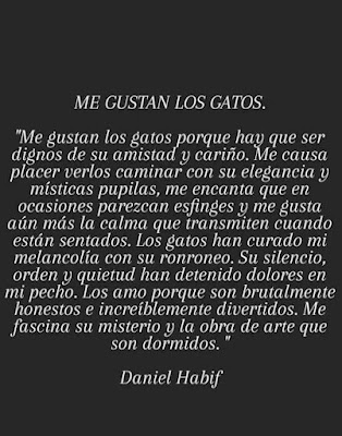 texto, "Me Gustan Los Gatos"