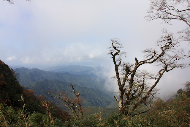 天氣好時可從北插天山望見台北盆地