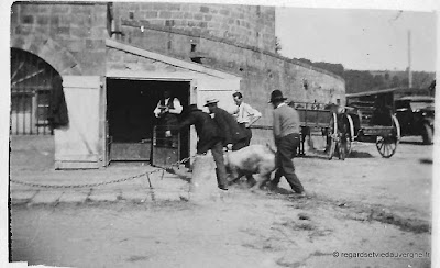 Photo ancienne d'Auvergne : lieux divers.