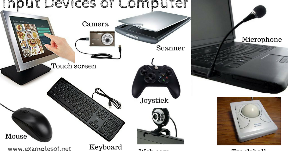 10 Examples of Input Devices of Computer  ExamplesOf.net