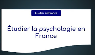 Études de psychologie en France