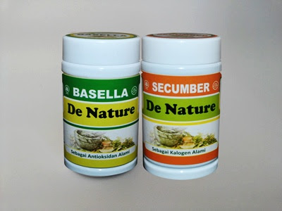 Obat Kolesterol De Nature