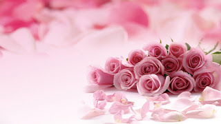 Beautifull Rose HD Desktop Wallpaper Photos
