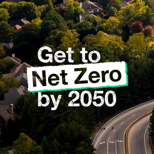 net zero carbon target