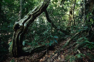 hantu-raya-seram-mengikutiku-hingga-ke-rumah