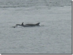 IMG_3809 (2)Cropped