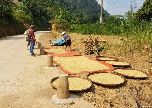 Hike From Ban Hieu village to Kho Muong in Pu Luong Nature Reserve