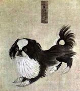 Pekingese Dog from an Imperial Dog Book by an unknown Painter .