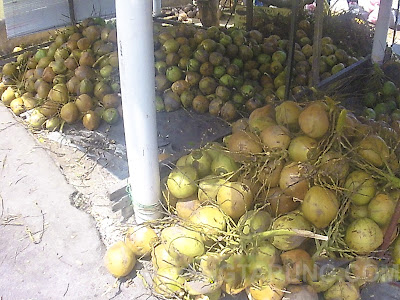 buah kelapa muda coconut shake klebang