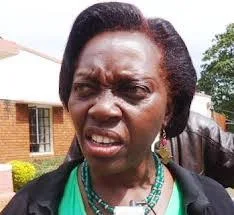 KARUA says mt Kenya want support BBI