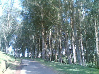 Coonoor Hill Station