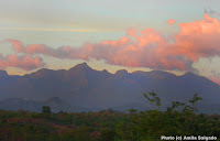 View of the Knucles Mountain range from the field station