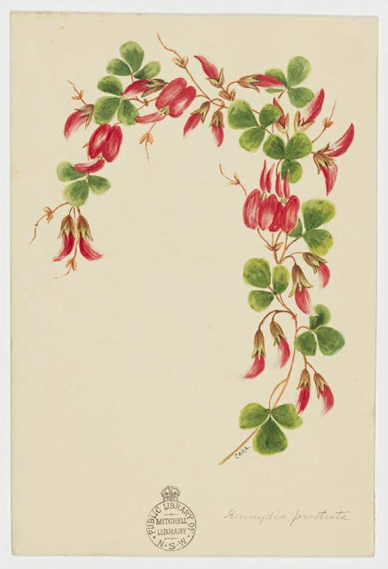  Christmas Card design depicting a red flowers.