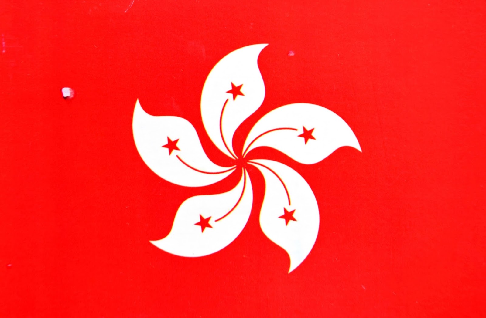 Kwiat bauhinii symbol na fladze Hongkongu