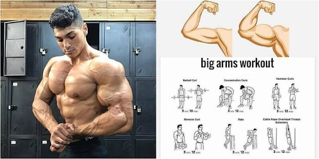 Build Bigger Arms: Train Biceps & Triceps Twice Per Week!