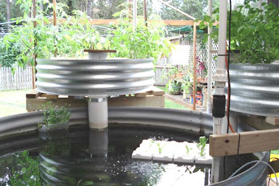 Aquaponics in all sizes