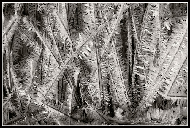 Nova Scotia, Ice Crystals