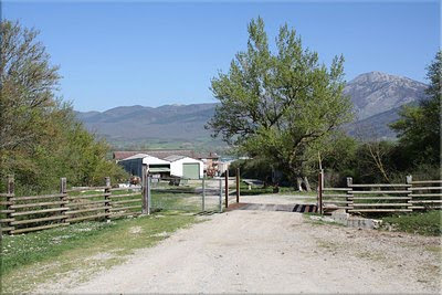 Llagada a San Román/Durruma