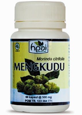 MENGKUDU KAPSUL