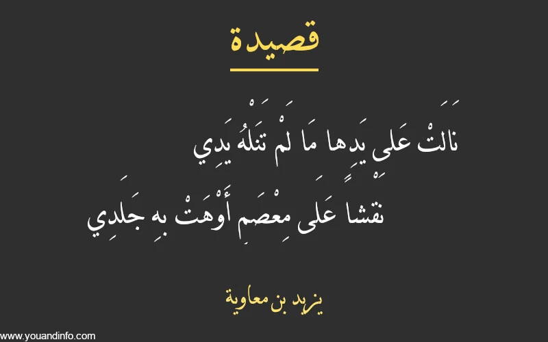 نص قصيدة: نالت على يدها ما لم تنله يدي