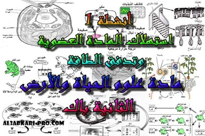 تحميل أنشطة 1: استهلاك المادة العضوية وتدفق الطاقة للسنة الثانية باك ,درس , ملخص , تمارين , امتحان وطني , امتحانات وطنية علوم الحياة والارض , علوم الحياة والارض , فروض علوم الحياة والارض , الثانية باك , بكالوريا, تعلم اللغات , المدارس العليا , دروس اونلاين