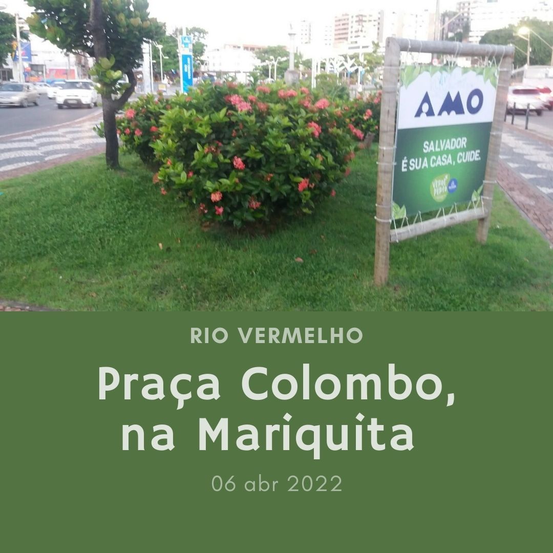 Mais uma praça adotada e bem cuidada no RV