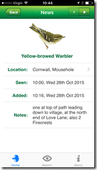 Yellow-browed Warbler