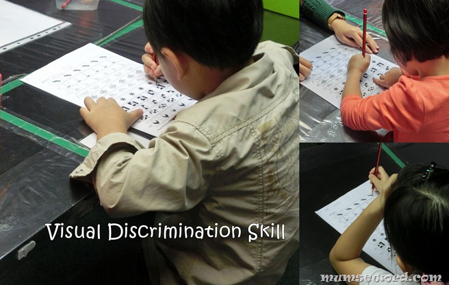 Visual Discrimination Skill