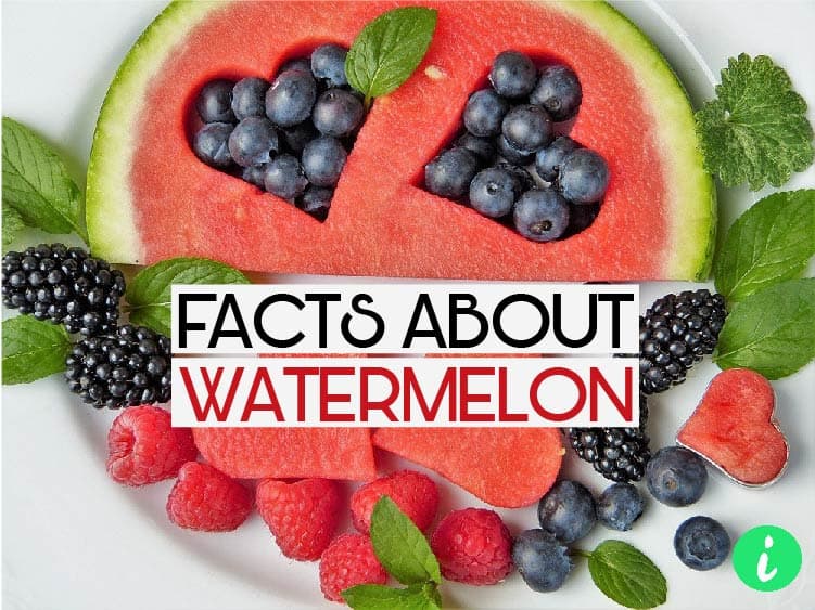Watermelon Facts