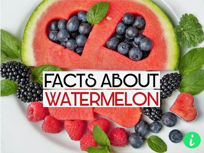 10 Interesting Facts About Watermelon - InfoHifi