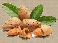 almond - la amande - Prunus dulcis