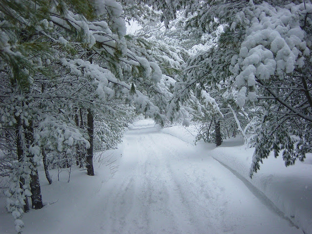 North India weather forecast Snowfall warning in Jammu and Kashmir Weather advisory for Chandigarh Rainfall intensity in Uttar Pradesh Weather safety precautions