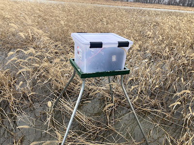 A small green platform stands in a marsh with a clear plastic tote on top of it, which is full of recording and broadcasting equipment