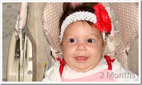 Aug - Oct 2012 052