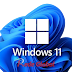 WINDOWS 11 L1TE 21h2 ( 22000.708 ) COM 40 PROCESSOS E USANDO 800 DE RAM