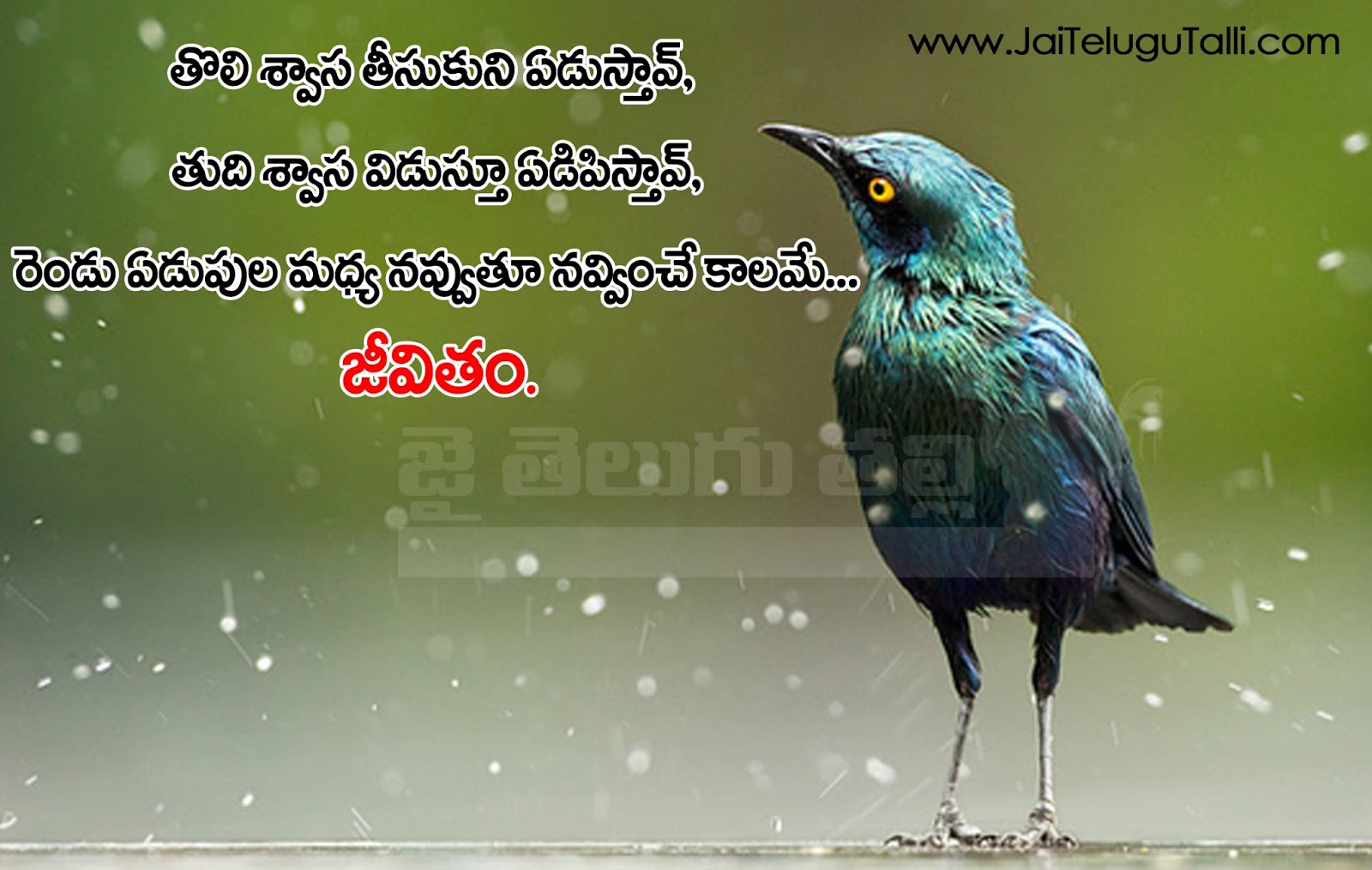 Here is a Telugu Life Quotes Life Thoughts in Telugu Best Life Thoughts and