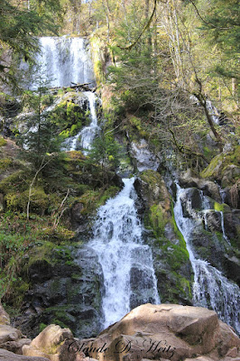 cascade de tendon