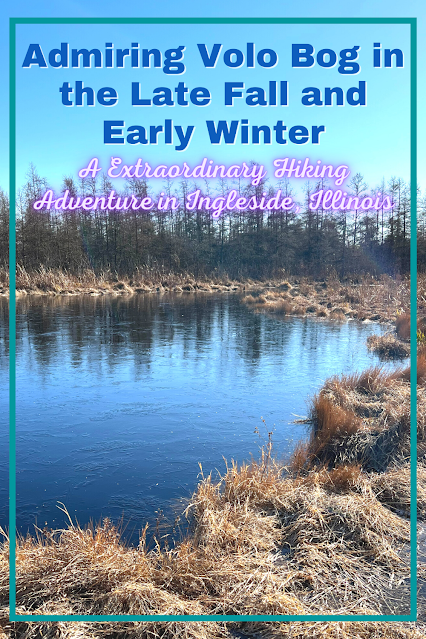 Volo Bog in Ingleside, Illinois Offers A Remarkably Unique Nature Adventure In All Seasons