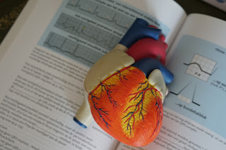a model heart on top of a textbook