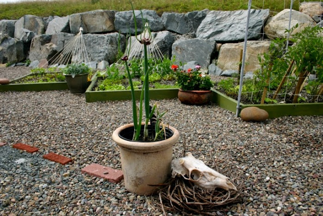 Garden decor with found objects: skull