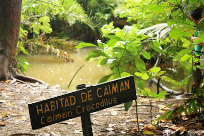 Parque Nacional de Cahuita