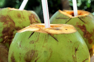 air kelapa