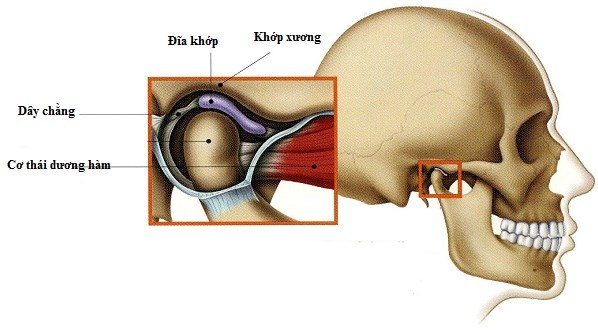 Lệch Khớp Thái Dương Hàm