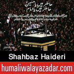 http://www.nohaypk.com/2015/10/shahbaz-haideri-nohay-2016.html