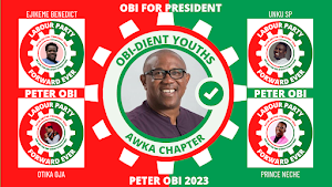 PETER OBI 2023: Get Your Customised Labour Party Social Media Profile Picture