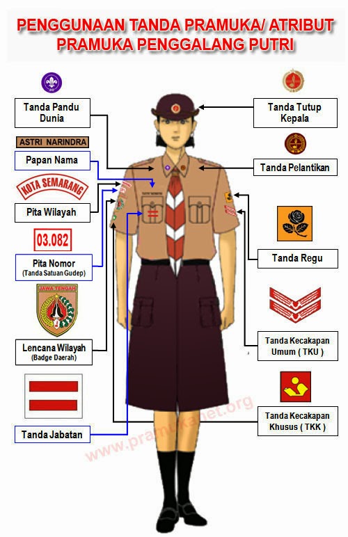 RANGER SCOUT PASBINTARA Juni 2011