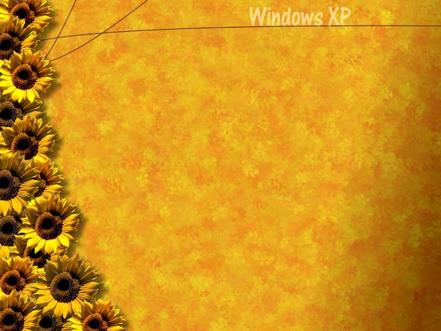 Window Xp Gold Wallpaper