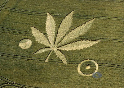 crop circle pictures